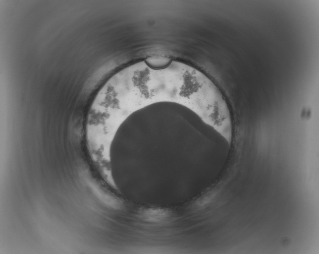 X0000112530063200909141257