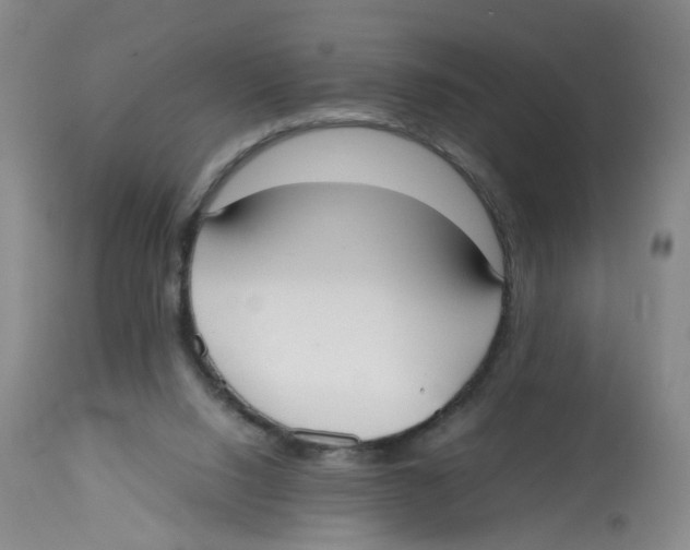 X0000112530064200909141257