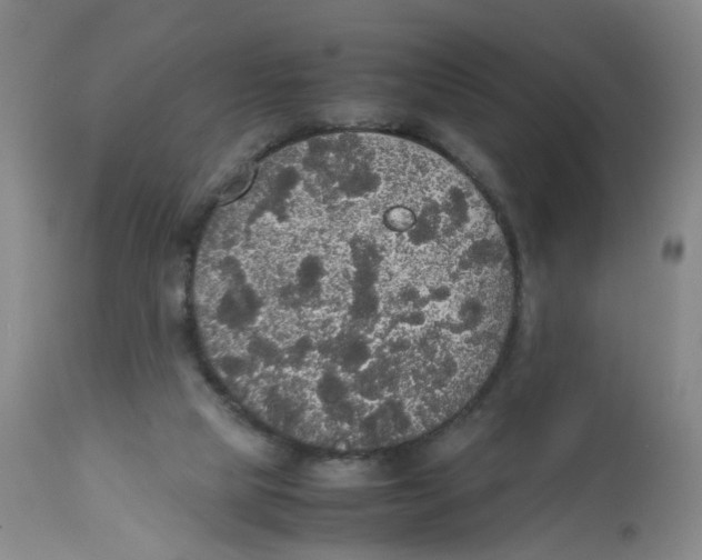 X0000112530065200909141257