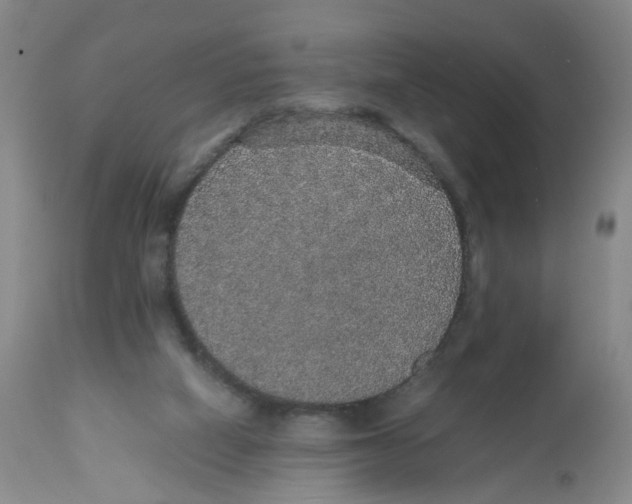 X0000112530066200909141257