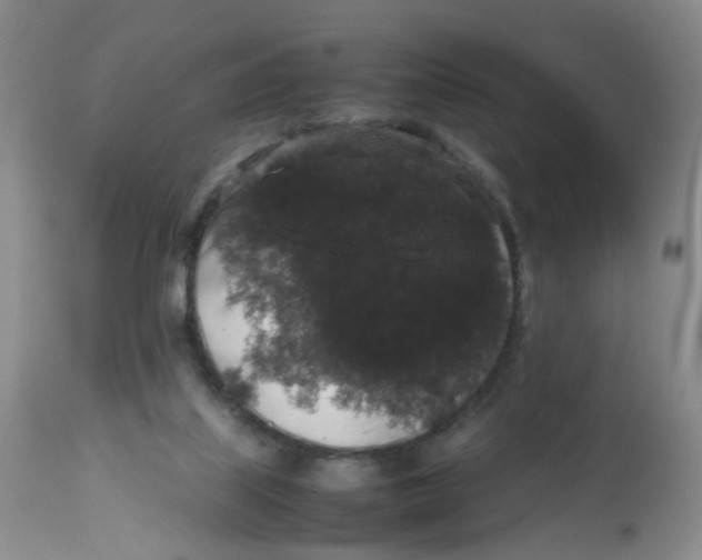 X0000112530067200909141257