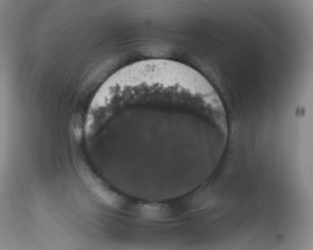 X0000112530069200909141257