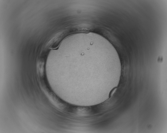 X0000112530070200909141258