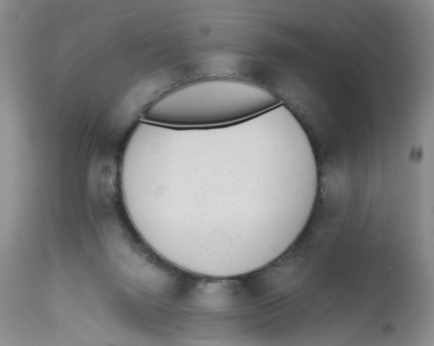 X0000112530072200909141258