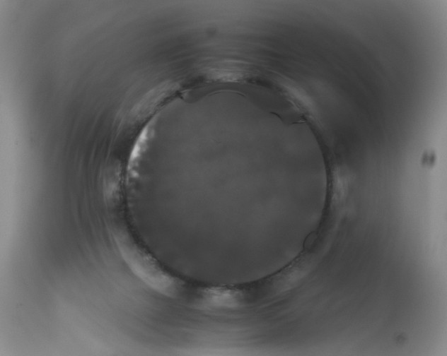 X0000112530073200909141258