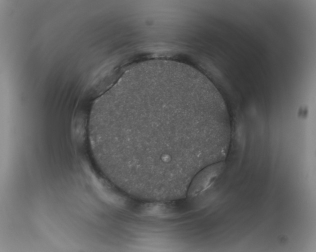 X0000112530074200909141258