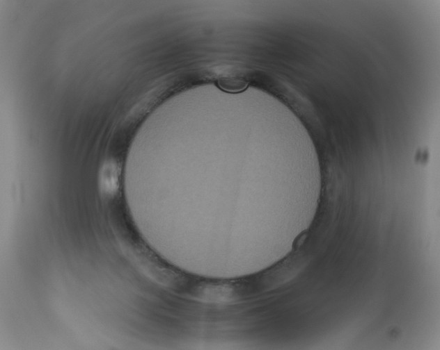 X0000112530075200909141258