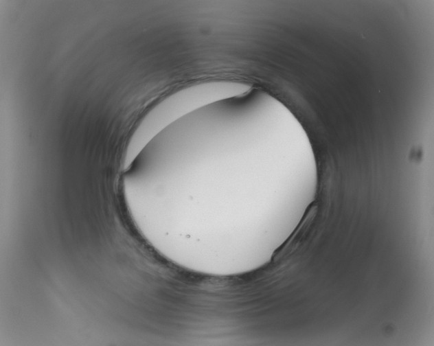 X0000112530076200909141258