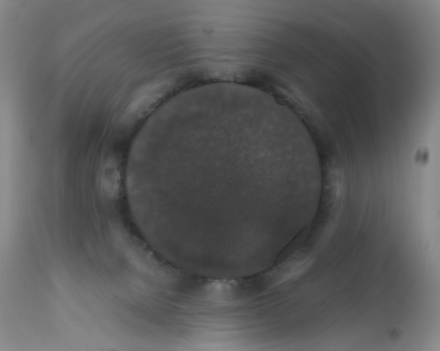 X0000112530080200909141258