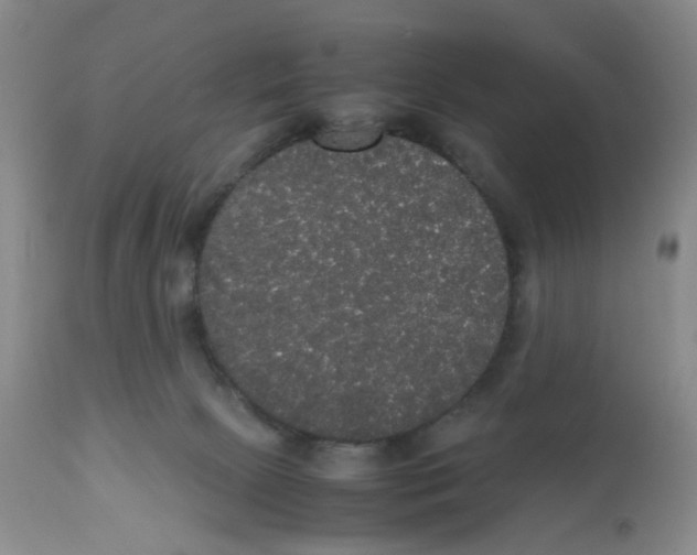 X0000112530081200909141258