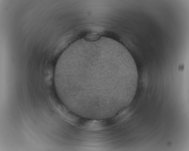 X0000112530082200909141258