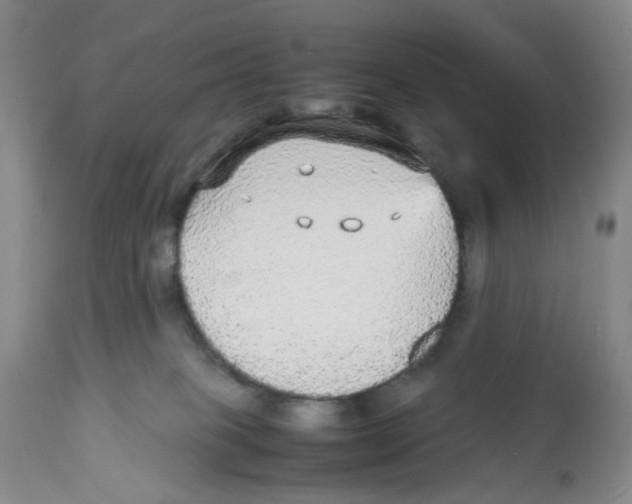 X0000112530085200909141258