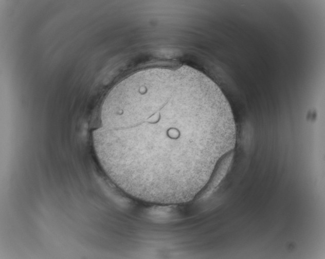 X0000112530086200909141258