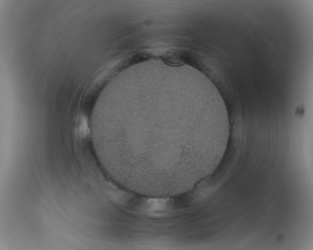 X0000112530089200909141258