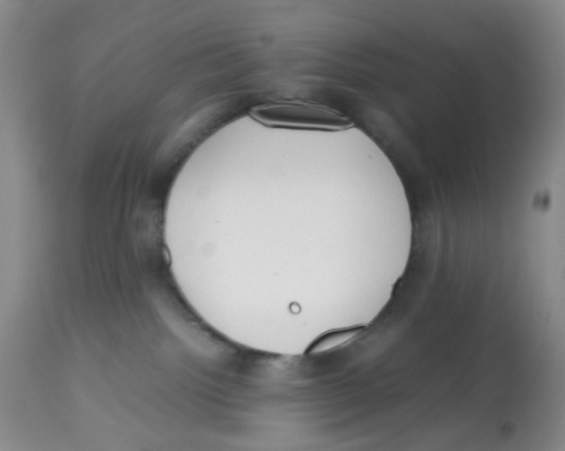 X0000112530092200909141258