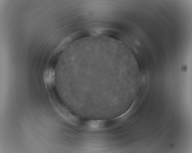 X0000112530094200909141258