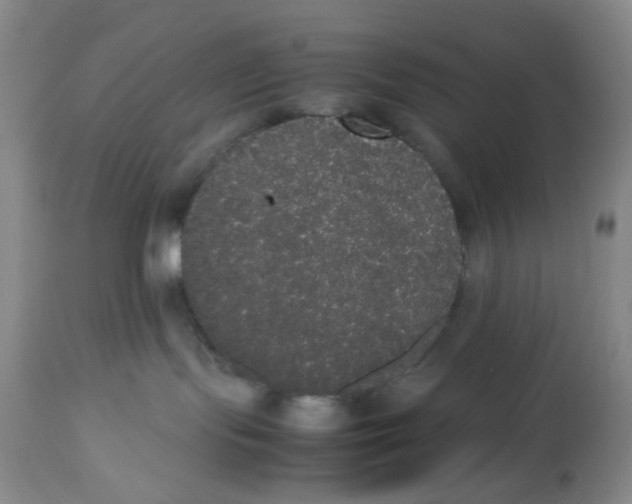 X0000112530095200909141258