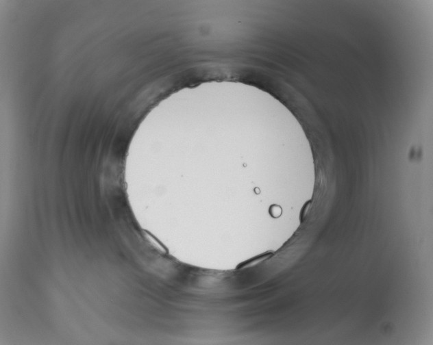 X0000112530096200909141258