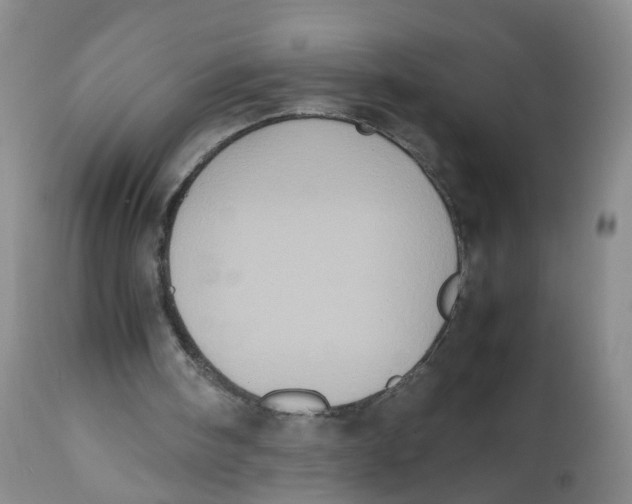 X0000112530098200909141257