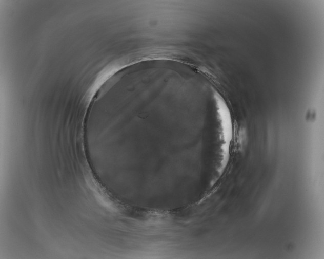 X0000112530099200909141257