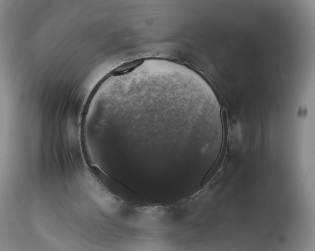 X0000112530100200909141257