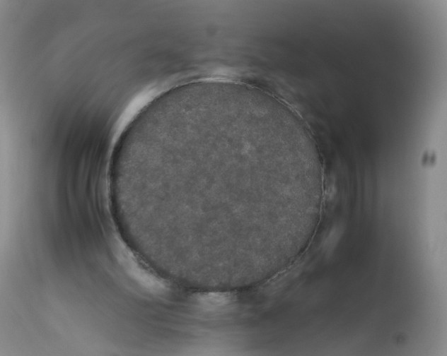 X0000112530102200909141257