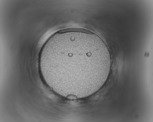 X0000112530103200909141257