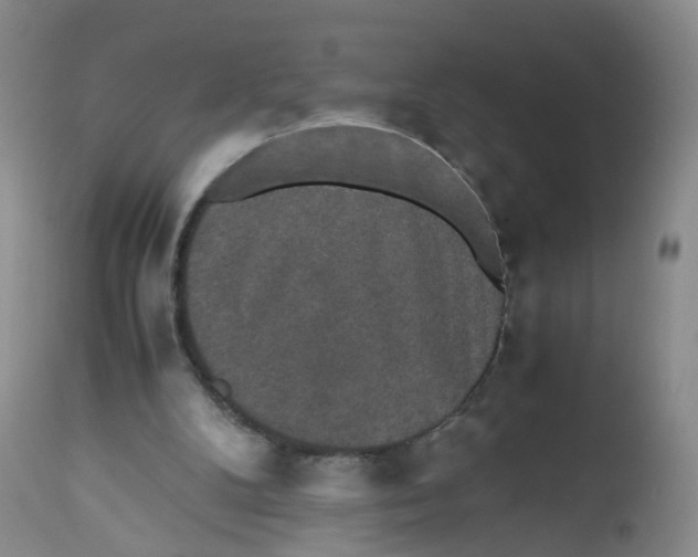 X0000112530104200909141257