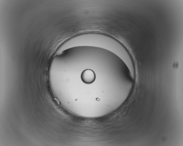 X0000112530105200909141257