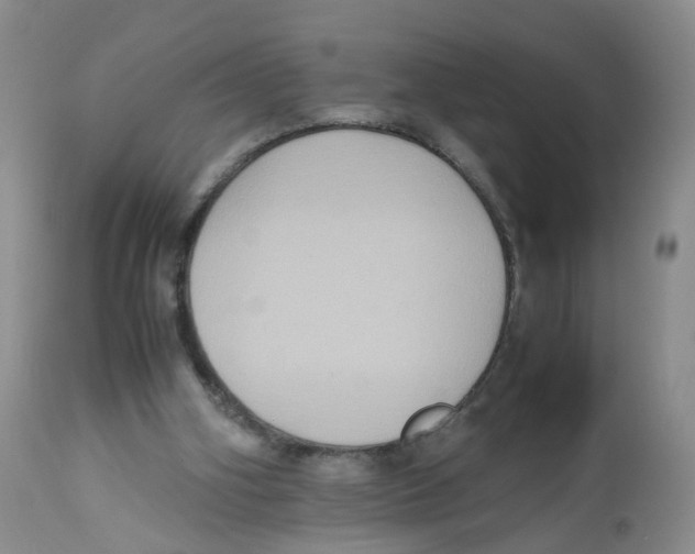 X0000112530106200909141257