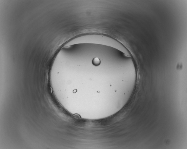 X0000112530109200909141257