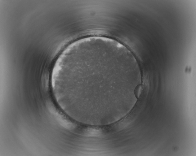 X0000112530110200909141257