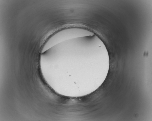 X0000112530111200909141257