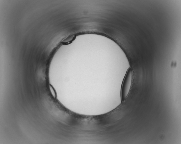 X0000112530112200909141257