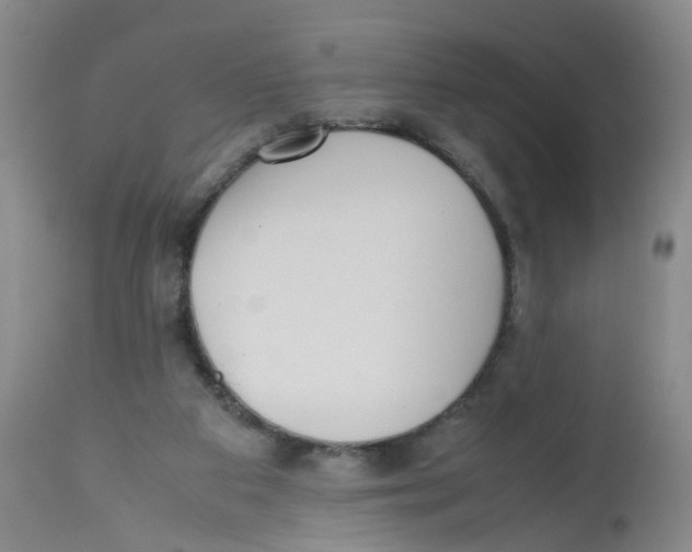 X0000112530113200909141257