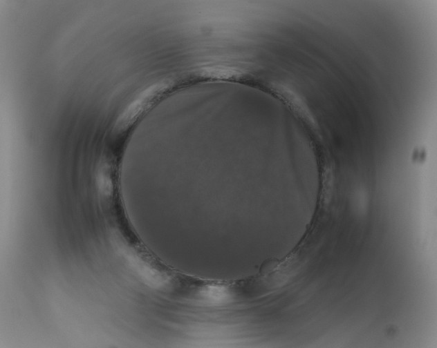 X0000112530114200909141257