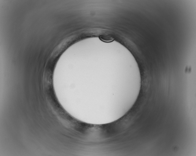 X0000112530119200909141257