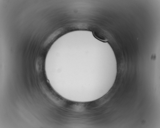 X0000112530120200909141257