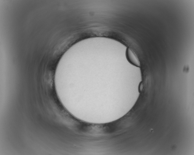 X0000112530121200909141257