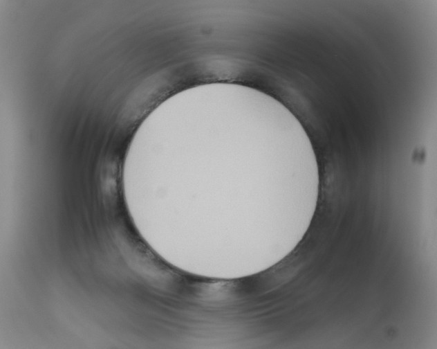 X0000112530122200909141257