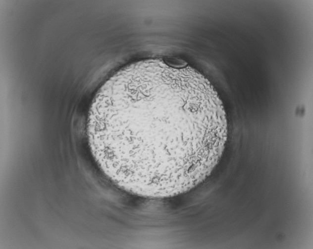 X0000112530123200909141257