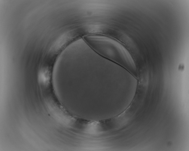 X0000112530124200909141257