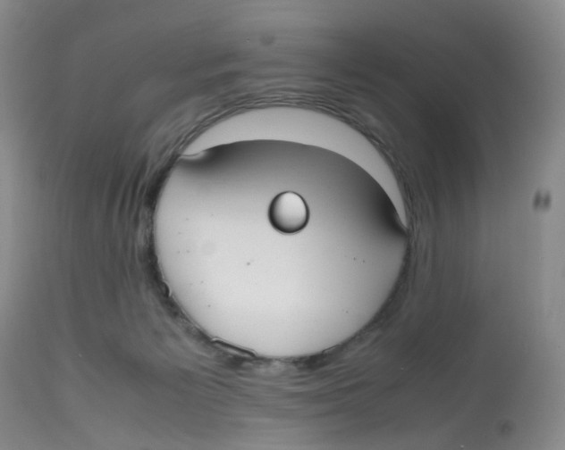 X0000112530125200909141257