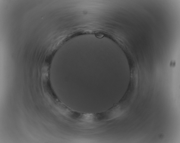 X0000112530127200909141257