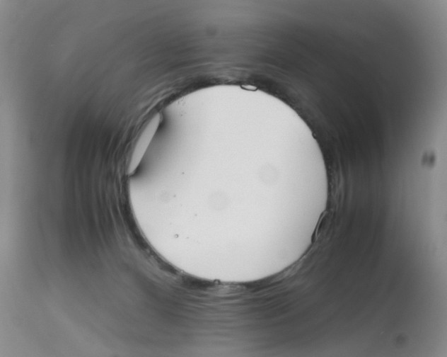 X0000112530128200909141257