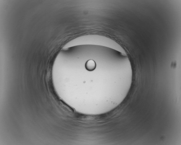 X0000112530129200909141257