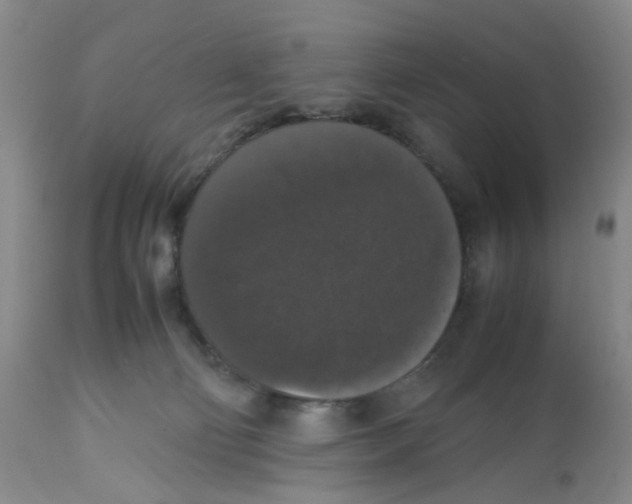 X0000112530130200909141257