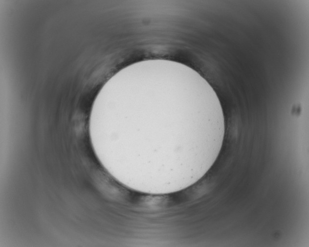 X0000112530135200909141257