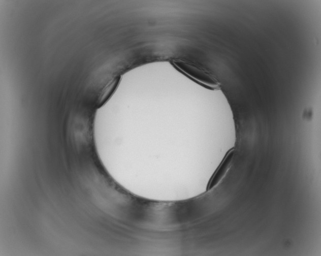 X0000112530136200909141256