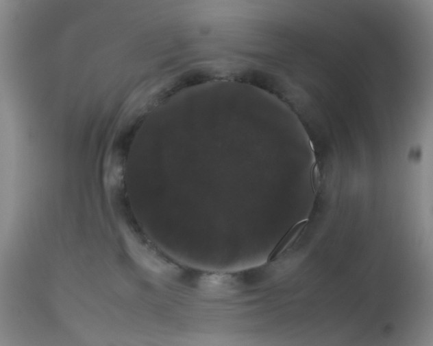 X0000112530137200909141256